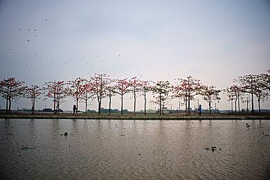 TGA 2024：《无主之地4》新预告 新反派角色揭示